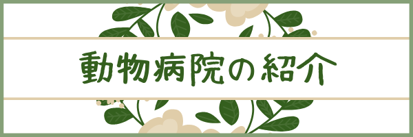 動物病院の紹介